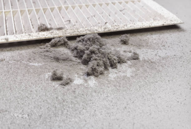 Best HVAC Air Duct Cleaning  in Andale, KS