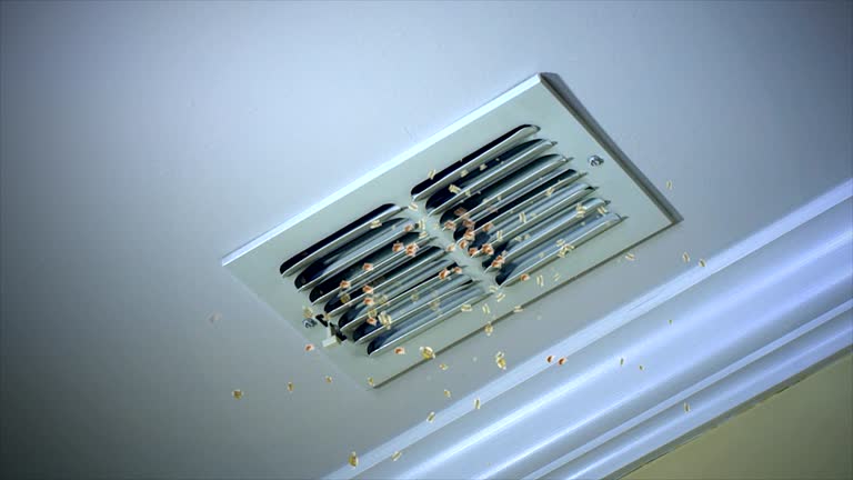 Best Air Duct Cleaning Company Near Me  in Andale, KS
