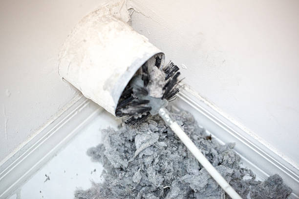 Best Air Duct Inspection  in Andale, KS