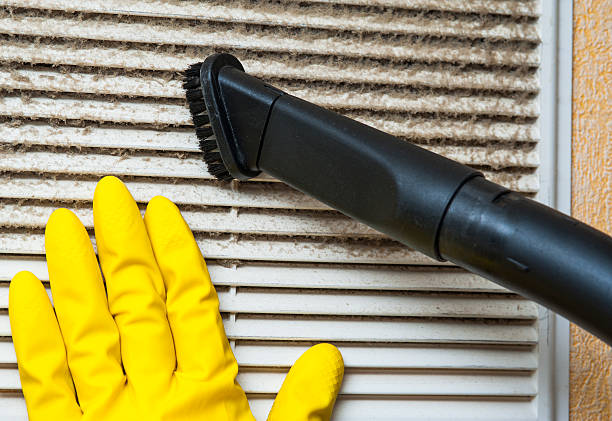 Best Professional Duct Cleaning Services  in Andale, KS