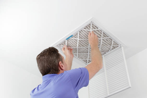 Best Air Vent Cleaning Services  in Andale, KS